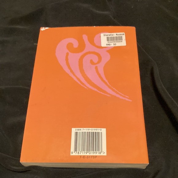 The illustrated book of changes I Ching, first edition paper back - Picture 4 of 4